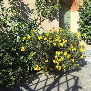 Casa Mita Con Pacchetto Mare Incluso Ferienhaus Camaiore